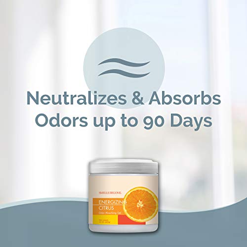 Air Freshener Odor Absorber Gel (30 Ounce)
