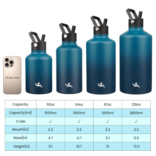 64 oz Insulated Stainless Steel Water Bottle Jug with Handle