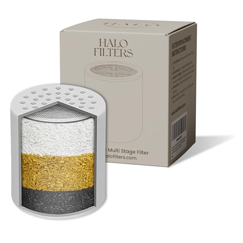 Filtered Shower Head