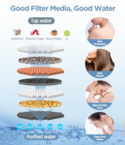 Filtered Shower Head with Handheld