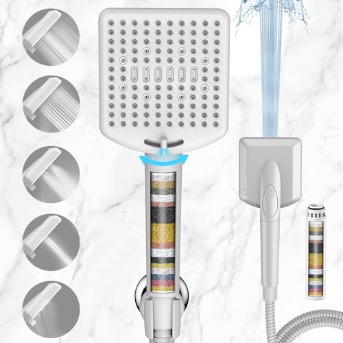 Filtered Shower Head with Handheld