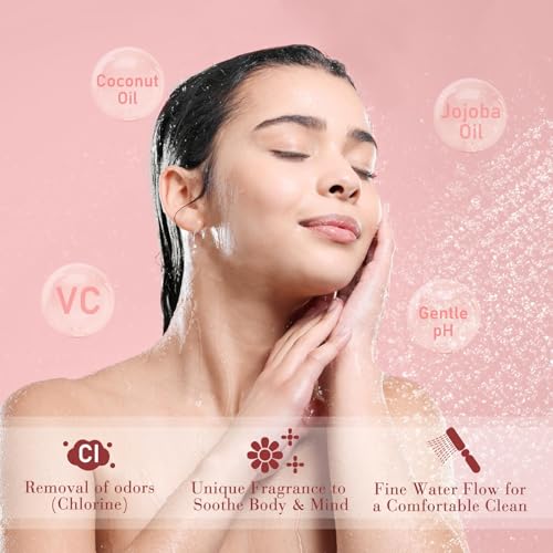 Vitamin C & Aromatherapy Skincare Spa Shower Head with Handheld