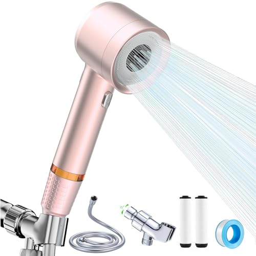 High Pressure Shower Head with Handheld