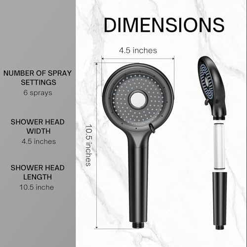 Filtered Shower Head with Handheld