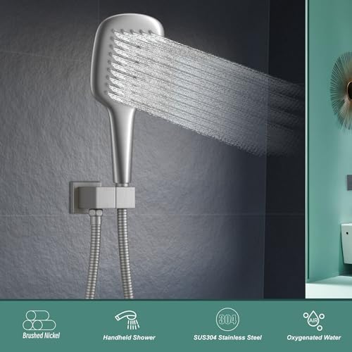 Brushed Nickel Handheld Shower Head Hand Shower Sprayer
