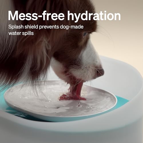 2.1Gal 8L Dog Water Fountain for Large Dog