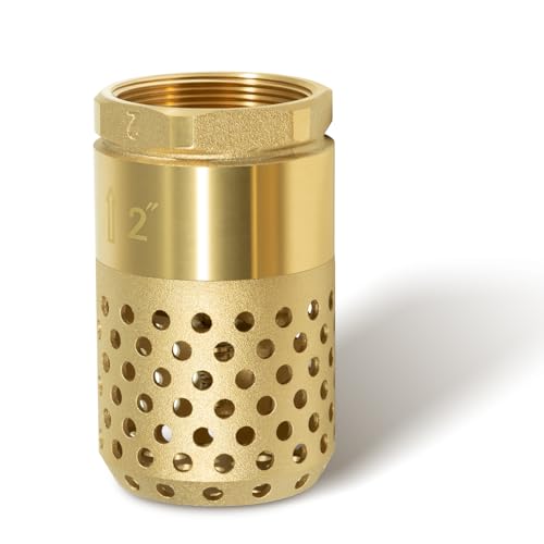 2 Inch Brass Foot Valve with Mesh Strainer