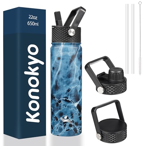 22 oz Insulated Stainless Steel Water Bottle with Straw Lid