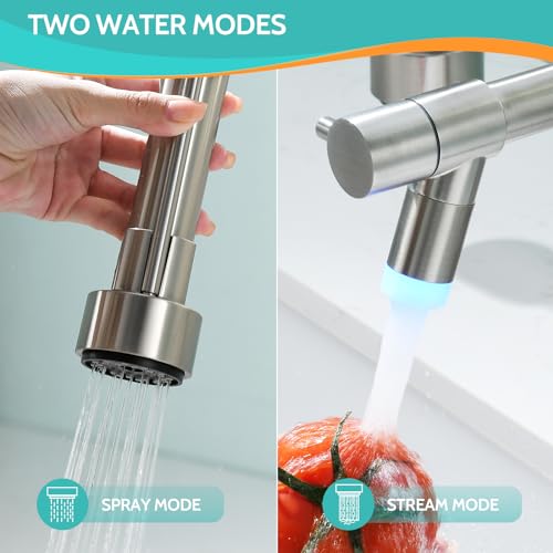 LED Kitchen Faucet with Pull Down Sprayer