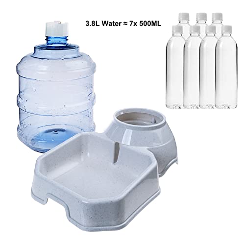 Pet Water Dispenser Station