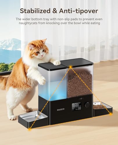 Automatic Cat Feeder & Water Dispenser