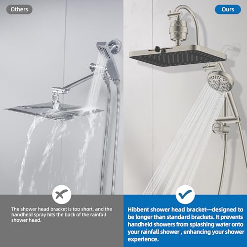 5 spray Dual Filtered Rainfall Shower Head with 10 Spray Handheld