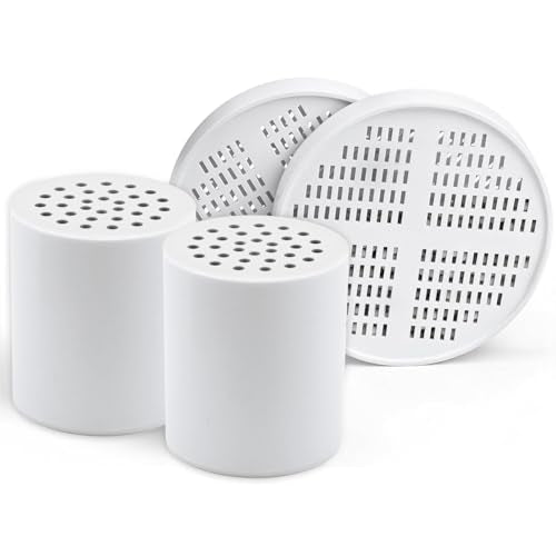 2+2 Replacement Cartridges Compatible with AquaHomeGroup Shower
