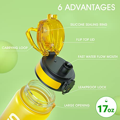 Water Bottle 17oz