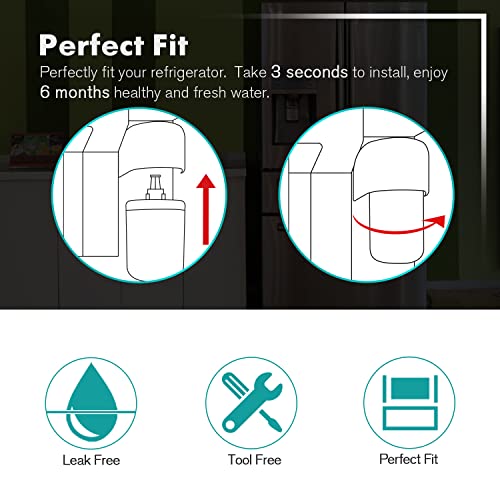 PLUS NSF ANSI 53& NSF (2 Count)