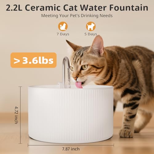 Ceramic Pet Water Fountain