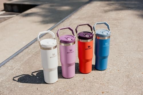 IceFlow Flip Straw Tumbler with Handle 30 oz