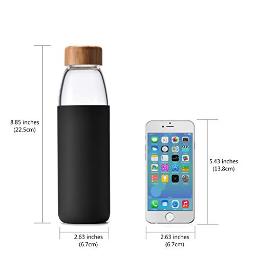 18 Oz Borosilicate Glass Water Bottles with Bamboo Lid