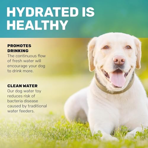 Dog Sprinkler