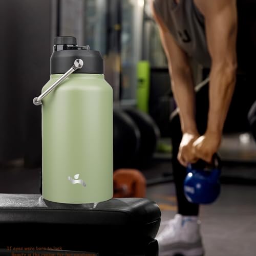 87 oz Insulated Stainless Steel Water Bottle Jug with Handle