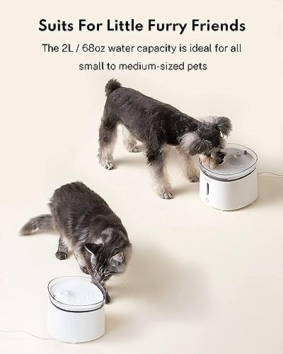 Silent Cat Water Fountain