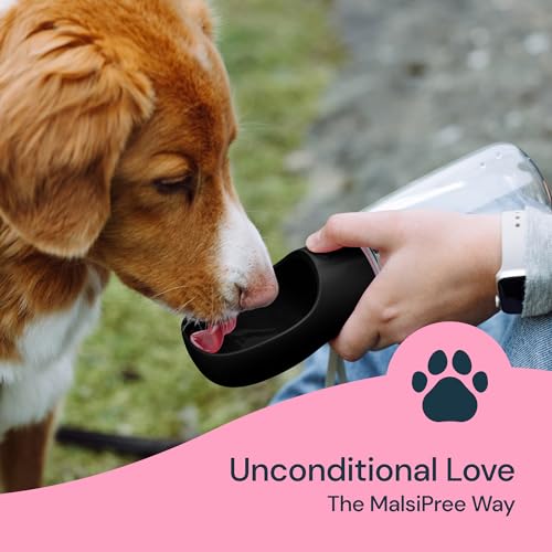Dog Water Bottle Dispenser