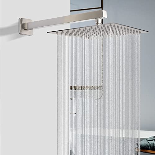 Shower Head with Extension Arm