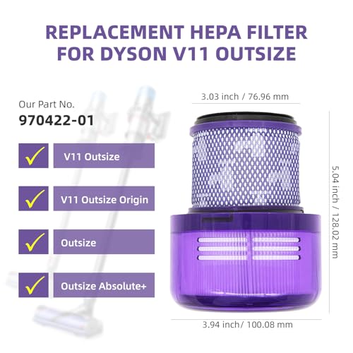 Dyson Outsize Filter (2 Count)