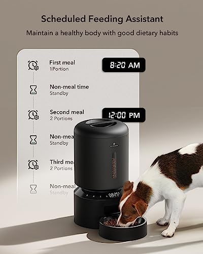 Automatic Cat Feeder
