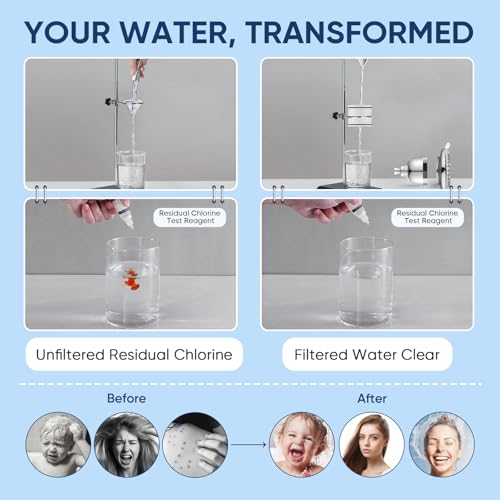 Filtered Shower Head