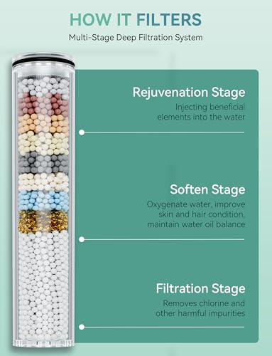 2 Pack Replacement Filters for Handheld Shower Head (2 Count)