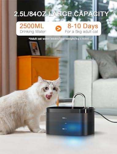 Cat Water Fountain