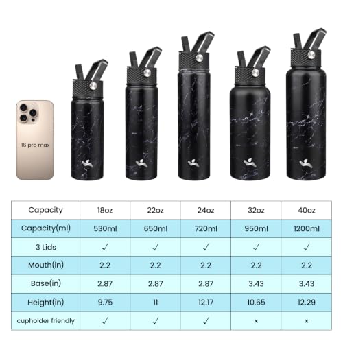 18 oz Insulated Stainless Steel Water Bottle with Straw Lid