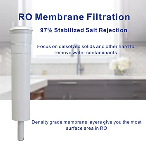 Replacement Filter RO Membrane S