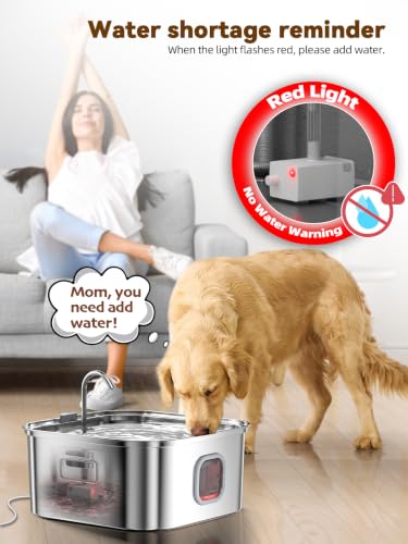Dog Water Fountain Stainless Steel