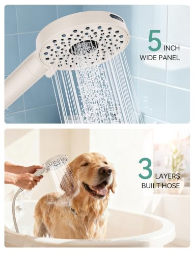 Shower Head with Handheld