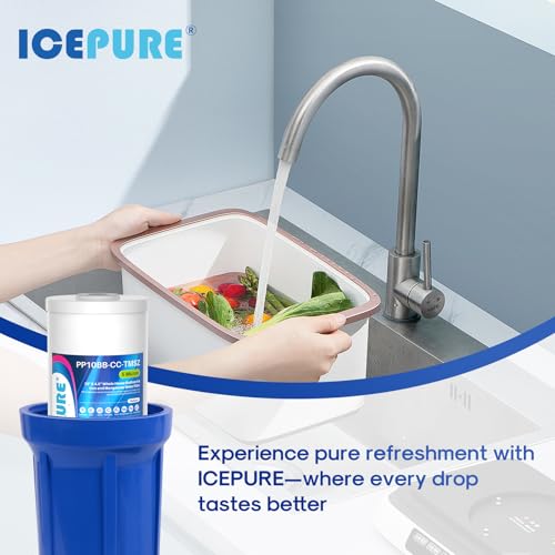 5 Micron 10" x 4.5" Whole House Sediment and Iron Manganese Resin Water Filter Compatible with GE FXHTC