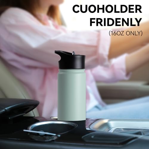 16 oz Insulated Water Bottle Bulk 8 Pack (8 Count)