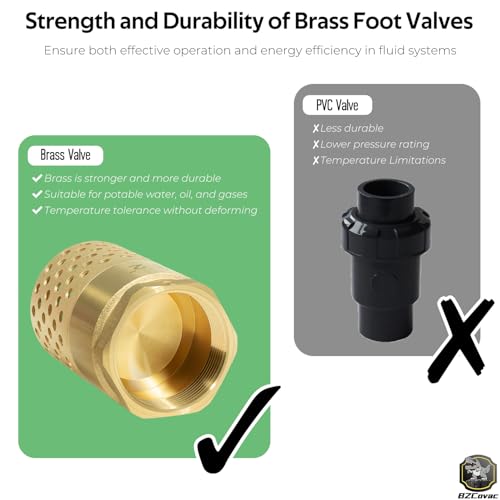 2 Inch Brass Foot Valve with Mesh Strainer