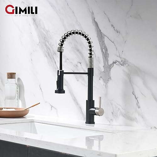 Kitchen Faucet with Pull Down Sprayer Black and Nickel