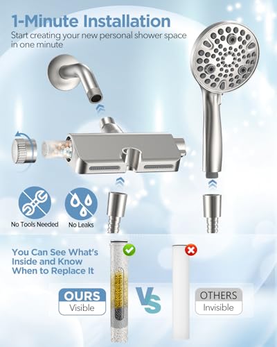 Filtered Shower Head with Handheld Combo Brushed Nickel