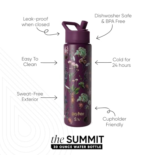 Harry Potter Water Bottle with Straw