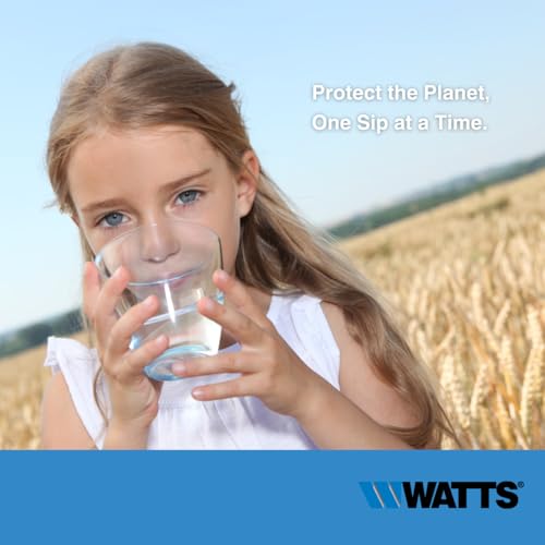 Watts Flow Pur GAC