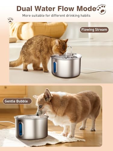 Stainless Steel Cat Water Fountain