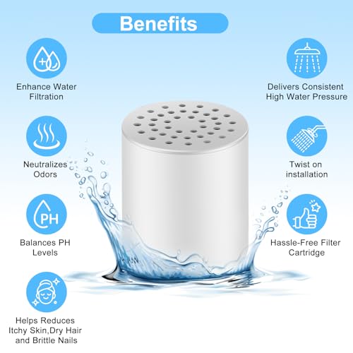 Shower Filter Replacement Cartridge (2 Count)