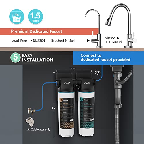 DW10F Under Sink Water Filter System with Brushed Nickel Faucet