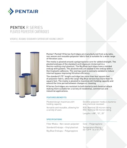 Pentair Pentek R30 (2 Count)