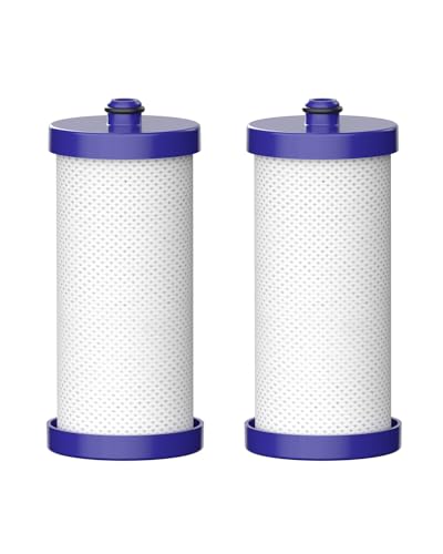 WF1CB Water Filter Replacement for Frigidaire® WFCB® (2 Count)