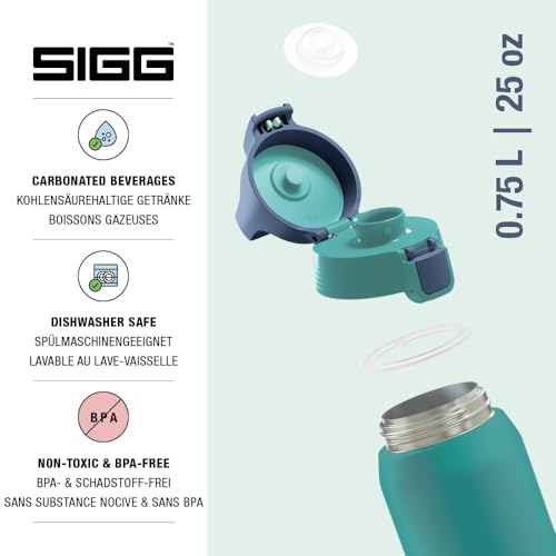 Insulated Water Bottle
