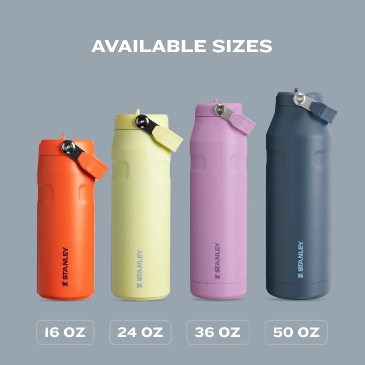 IceFlow Flip Straw 2.0 Bottle